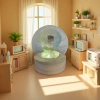Transparent spherical resin ornaments containing dandelions and luminous flowers are creative home decoration handicrafts and small ornaments details Picture